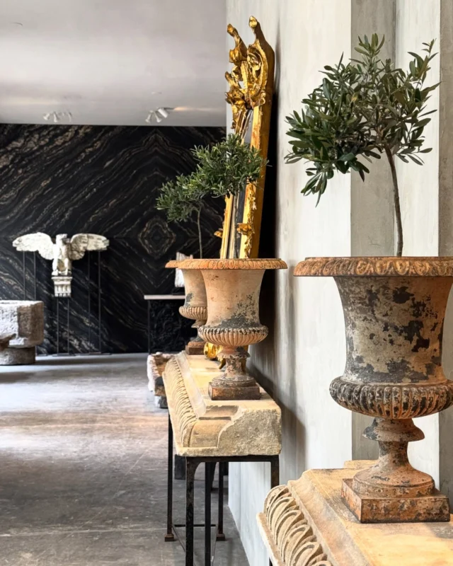 Alfresco Chic

A N C I E N T  M O D E R N E  West Hollywood 
.
.
.
#ancientmoderne #chic #alfresco #statementpiece 
#sculpture #mixology #architecture #galerie #oneofakind #details #outdoorliving
